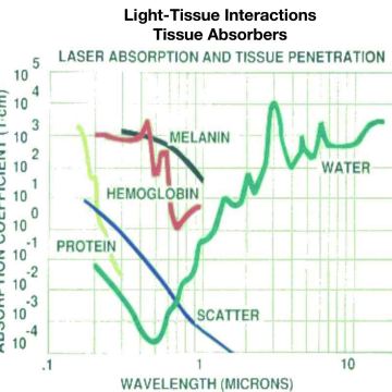 Light Tissue