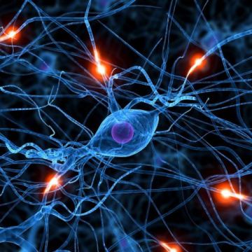 Neurona e1436481212882 672x5