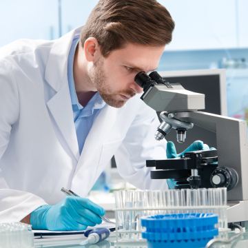 Researcher microscope