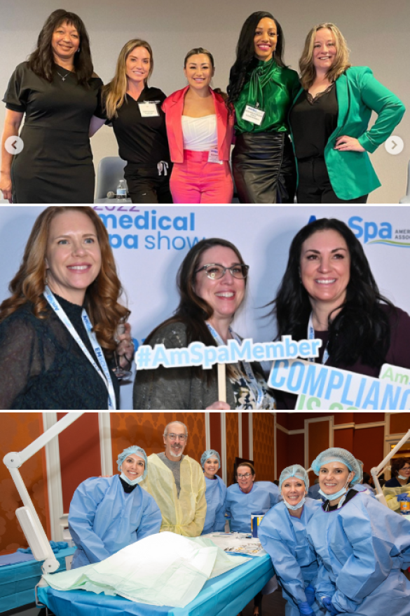 AmSpa Members