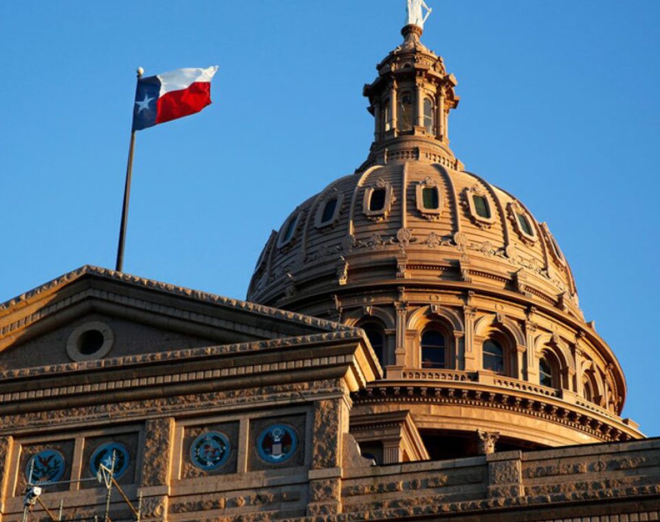 Texas header